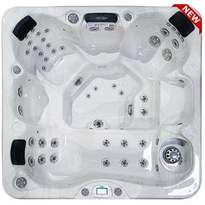 Avalon-X EC-849LX hot tubs for sale in Montrose